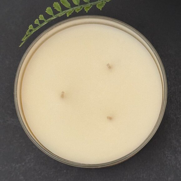 BBW Citrus Grove Bath & Body Works 3 Wick Candle - Picture 7 of 10